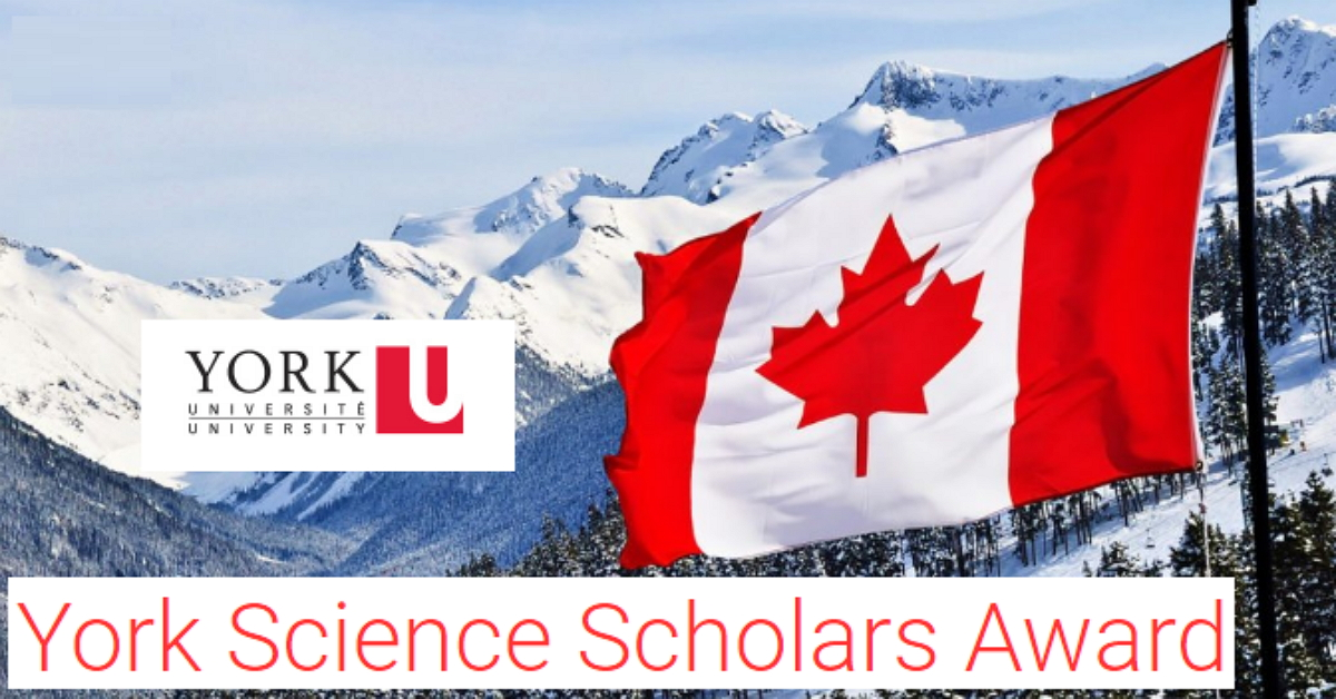York Science Scholars Award 2023 - Apply now